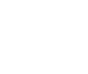 lst logodesign 15